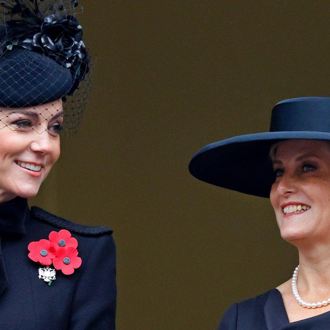 王妃身后隐藏的王室“定海神针”开元棋牌网站索菲公爵夫人：凯特(图3)