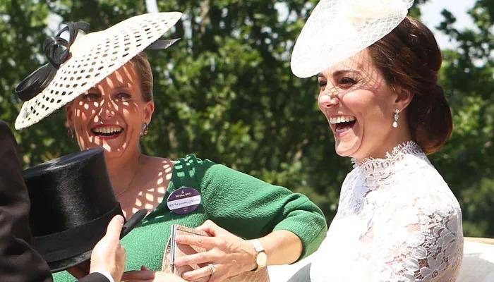 王妃身后隐藏的王室“定海神针”开元棋牌网站索菲公爵夫人：凯特(图4)